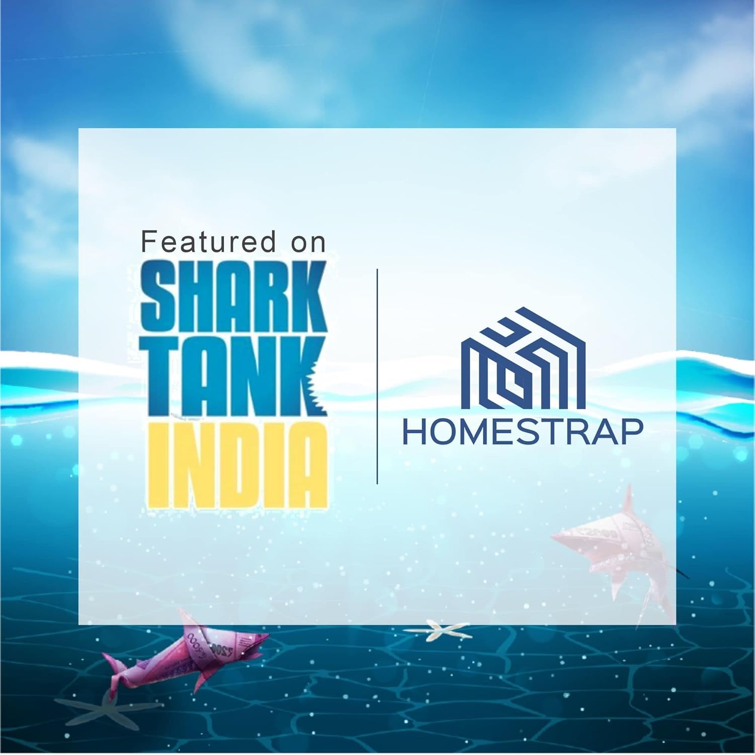 HomeStrap Set Of 24 Printed Single Saree Cover/Clothes Storage Bags/Wardrobe Organiser With Transparent Top(Grey,Non-Woven)(Featured On Shark Tank),36 Cm,1 Cm - Image 2